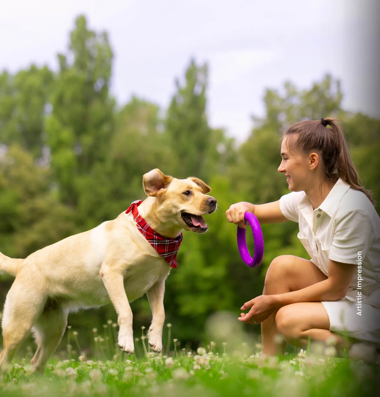 pet-parks-1773811459